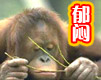 搞笑卡通QQ表情图片集锦