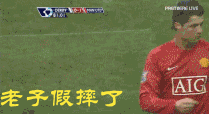 足球场上搞笑动态图片（GIF）大集合