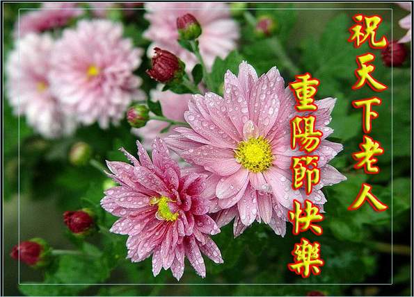 重阳节