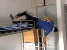 大学宿舍里的武林功夫