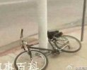 糗事百科——自行车是怎么放进去的