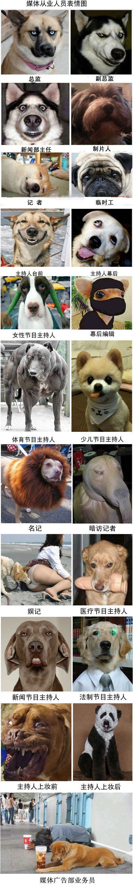 媒体从业人员表情图加强版。。。