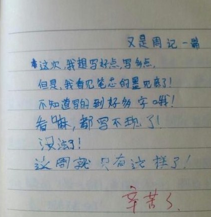 屌丝的初中周记
