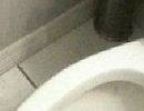 尼玛，这厕纸是谁放的，看着都疼