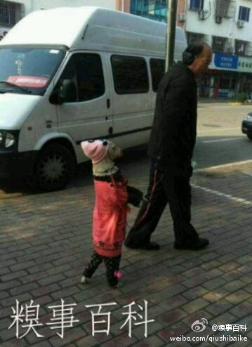 大爷，你是多想要个孙女