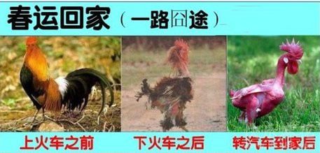 春运回家一路囧途