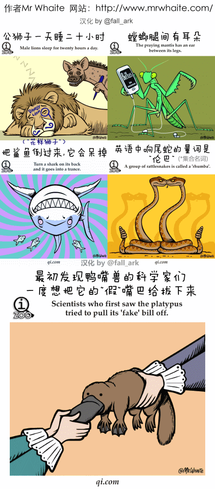 神奇的动物小知识