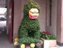 搞笑图片：看看史上最牛X的门神
