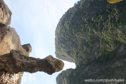 大自然的神奇，岂能用巧夺天工来形容，简直是鬼斧神工，逼真程度五星！！