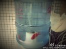神奇图片之防室友投毒
