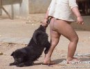 执子之手，将子拖走。。。