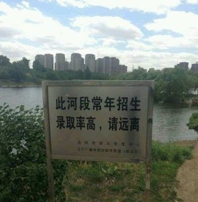 今天去钓鱼看到的，不想去上学举手！