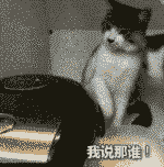 这台词配的太到位了