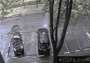 搞笑动态GIF：有一种司机叫做新手