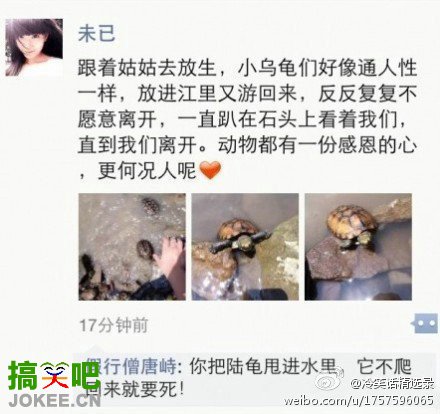 一个温馨的故事，评论是亮点