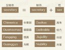 内涵图：为中国而造的英文单词
