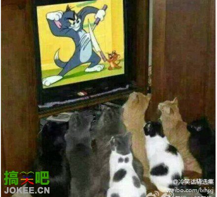 兄弟 加油啊！我们挺你！