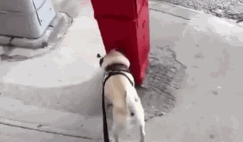 不就是尿个尿吗，咱能别这么拽吗！！