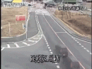 搞笑视频短片：好惊险，吓尿了。。