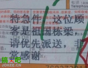 搞笑图片：第一个懂我的卖家