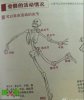 搞笑图片：作为一个骷髅你能严肃点么