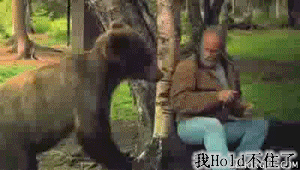 见过胆大的，没见过胆这么大的。这大爷也太牛了。。