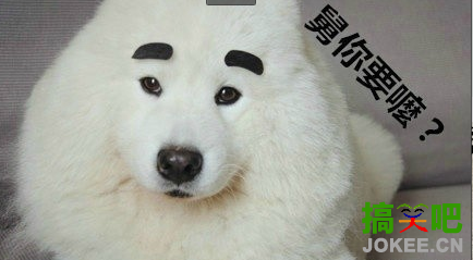 舅你要吗？