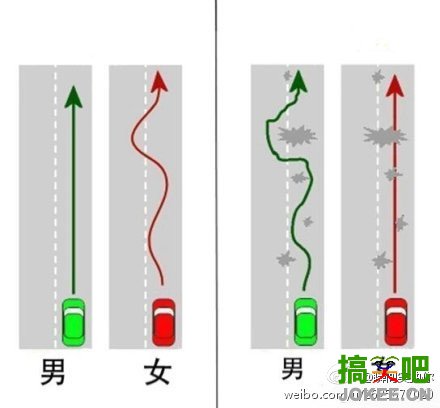 男人和女人开车的区别。。。。哈哈哈哈哈哈哈哈哈哈哈服！